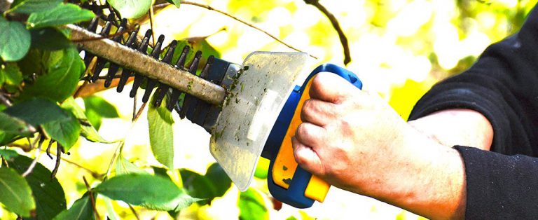 Close-up of a hedge trimmer cutting a hedge