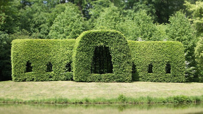Tall clipped hedge shaped with arches and window openings