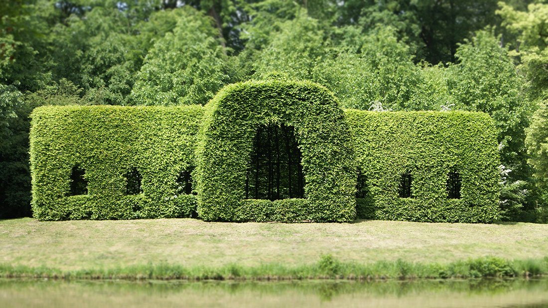 Tall clipped hedge shaped with arches and window openings